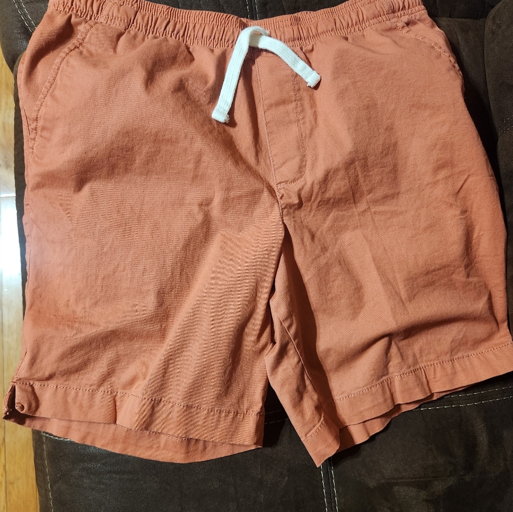 Men's Rust Shorts